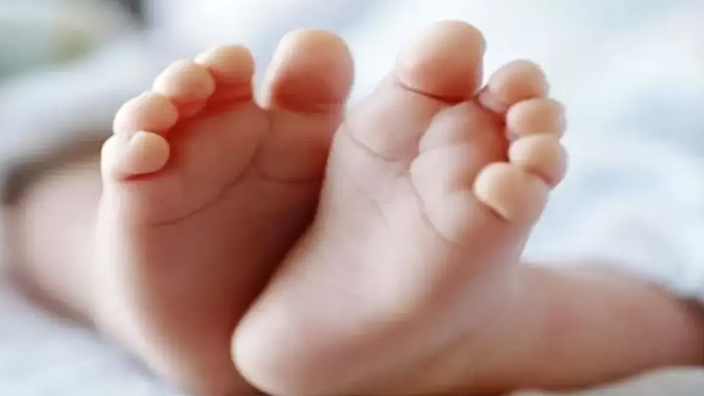 বরিশালে ময়লার স্তূপে দুই নবজাতকের মরদেহ