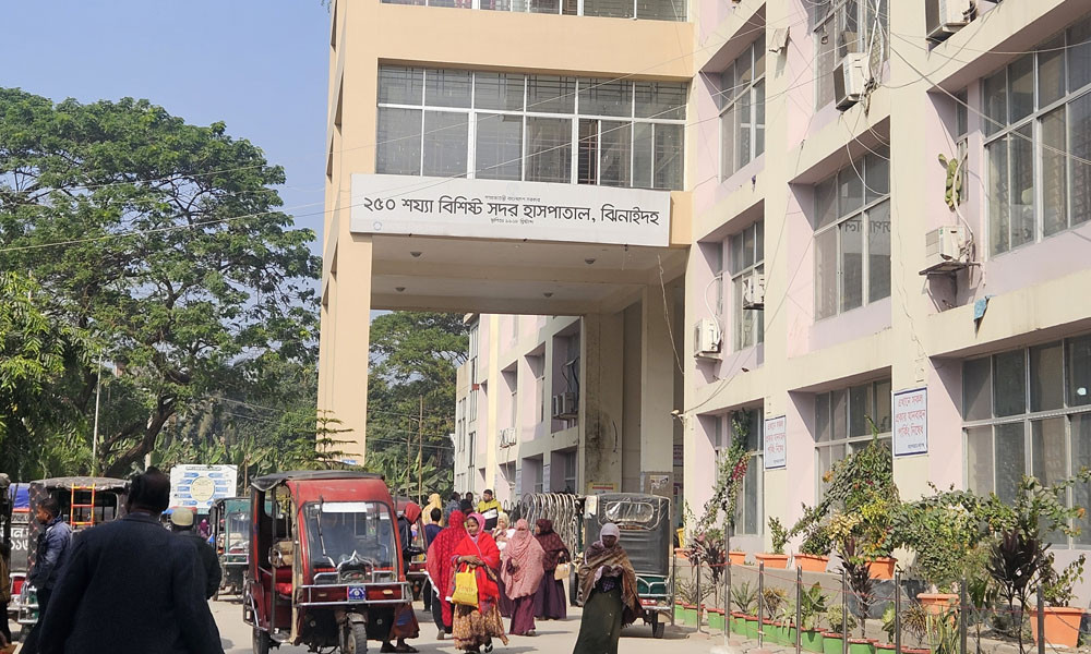 ঝিনাইদহ হাসপাতালে নেই জলাতঙ্ক ভ্যাকসিন, মিলছে না ফার্মেসিতেও জেলার বাসিন্দারা আতঙ্কিত দ্রুত ব্যবস্থা নেওয়ার দাবি