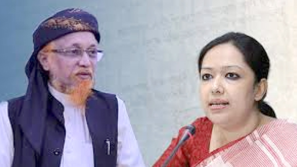 রুমিন ফারহানার অভিযোগের বিষয়ে যা বললেন বিএনপি সমর্থিত জুনায়েদ আল হাবিব