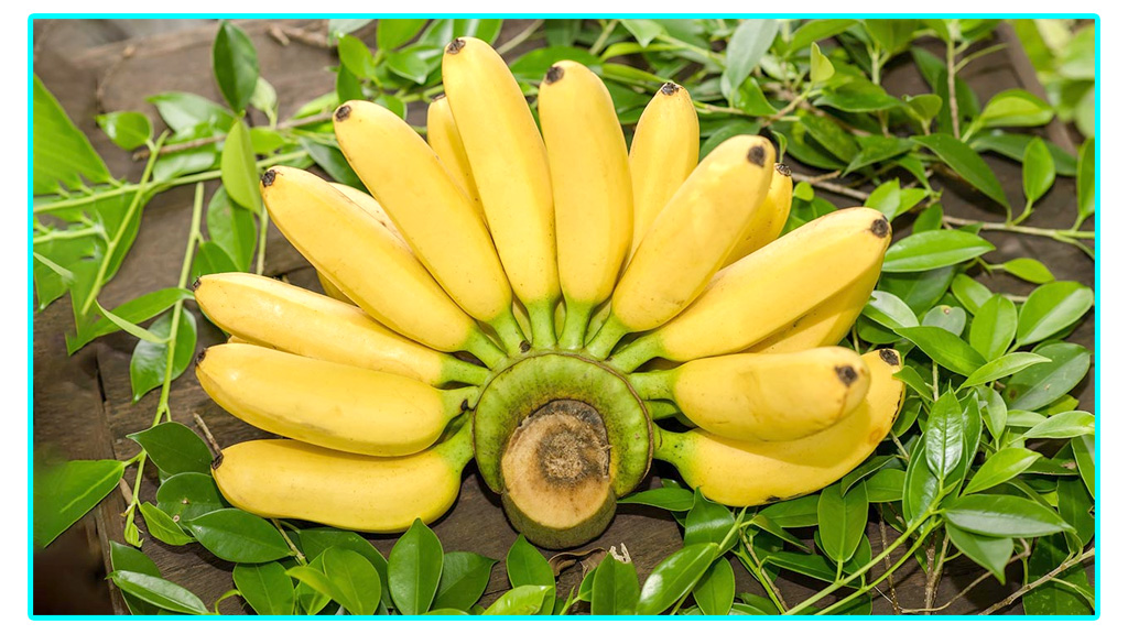 প্রতিদিন কতগুলো কলা খাওয়া উচিত?